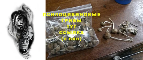 мдпв Заводоуковск