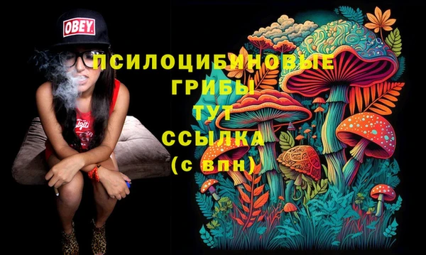 мдпв Заводоуковск