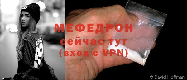 мдпв Заводоуковск