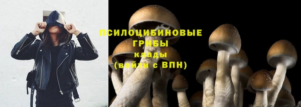 марки lsd Заволжск
