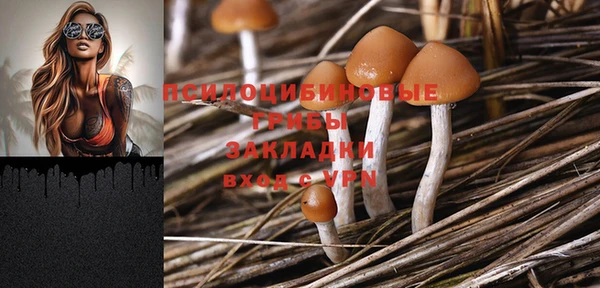 мдпв Заводоуковск