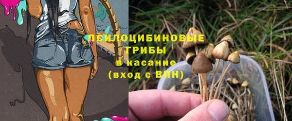 СК Елизово