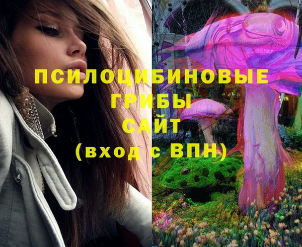 прущие грибы Ельня