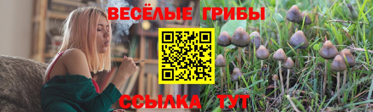 Псилоцибиновые грибы Magic Shrooms Верхний Уфалей