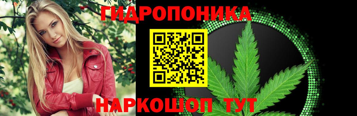 Бошки марихуана Amnesia Верхний Уфалей